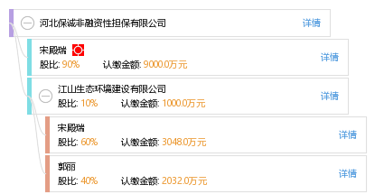 河北保誠非融資性擔保 專注非融資性擔保服務，助力區域經濟穩健發展